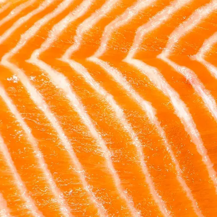 Big-Glory-Bay-King-Salmon-800x800-2-optimized