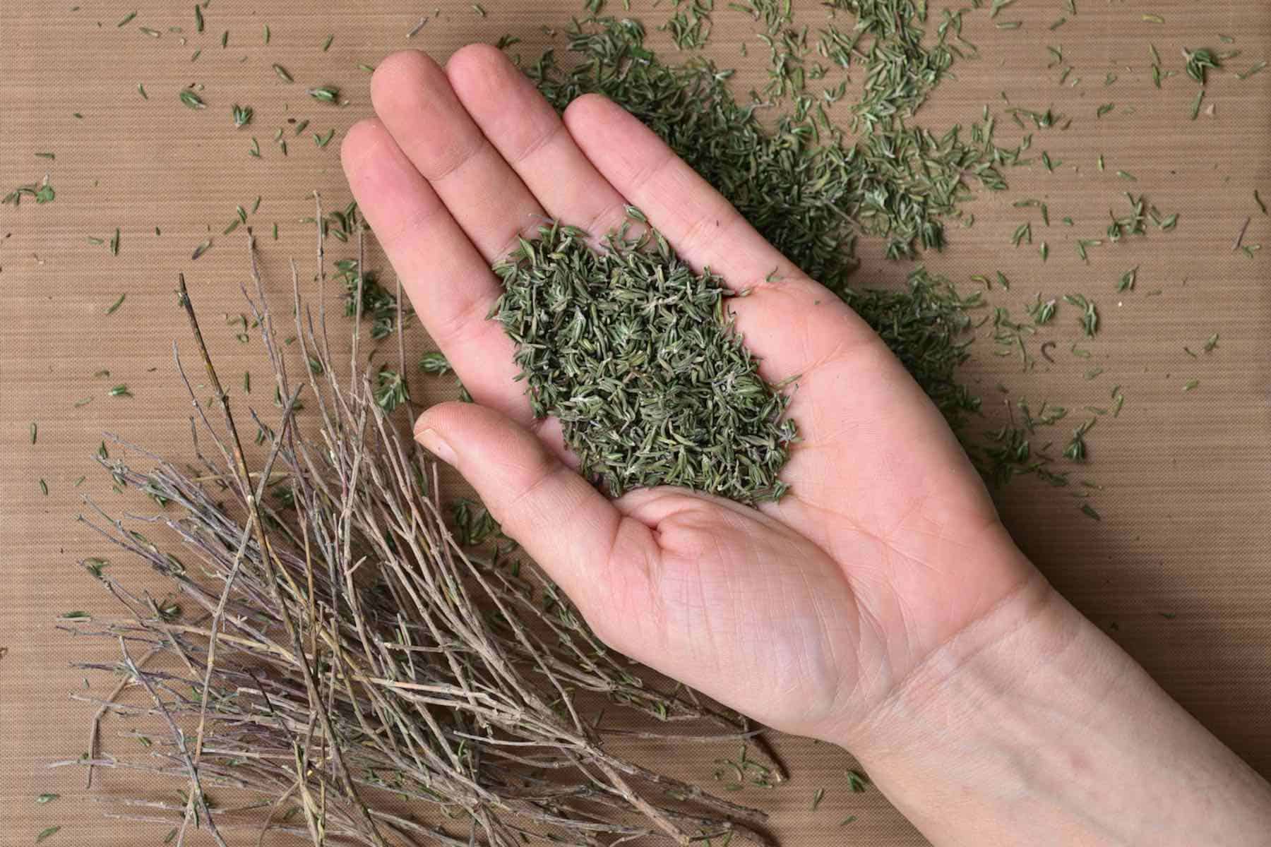 How-to-Dry-Thyme-2-of-2