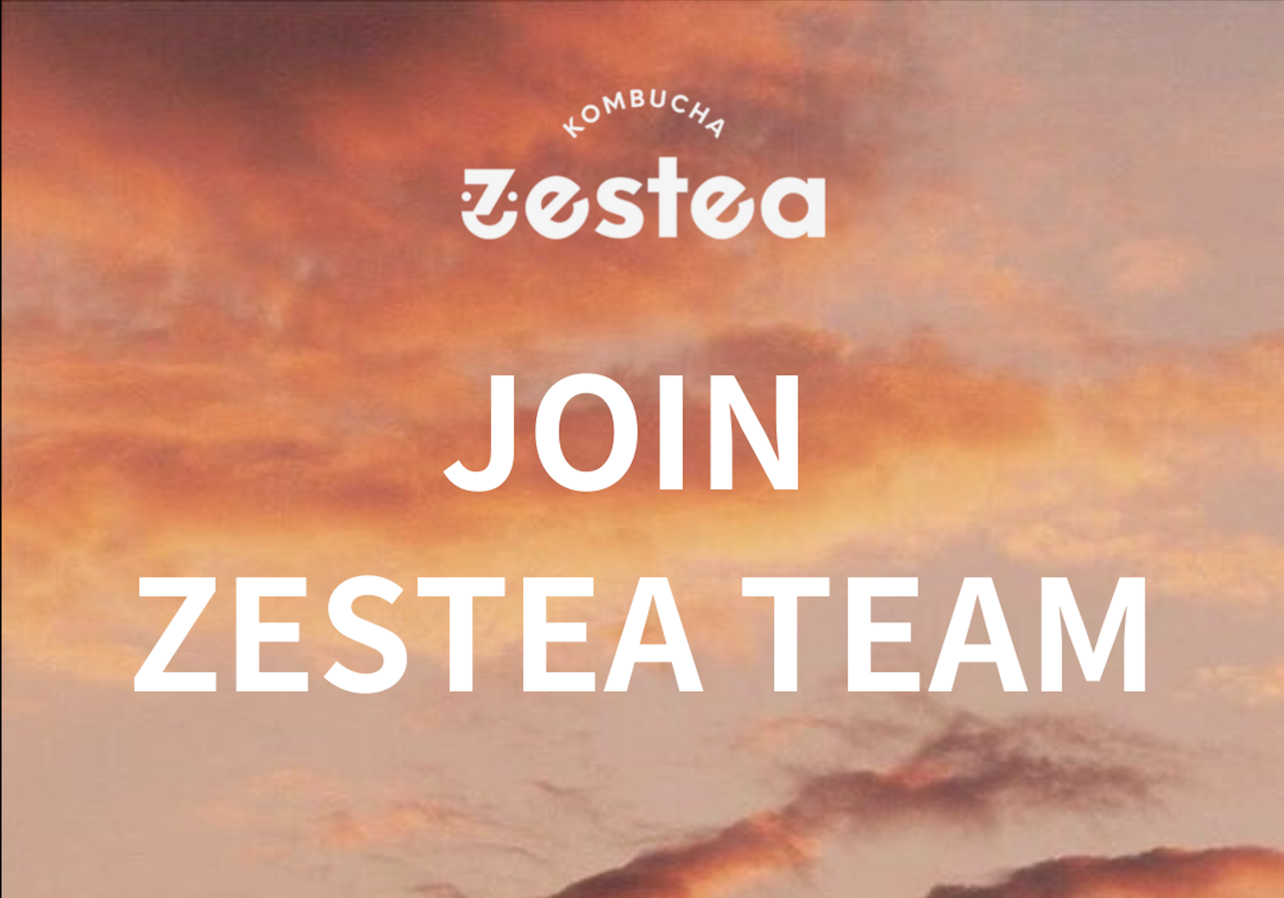 joinzesteateam