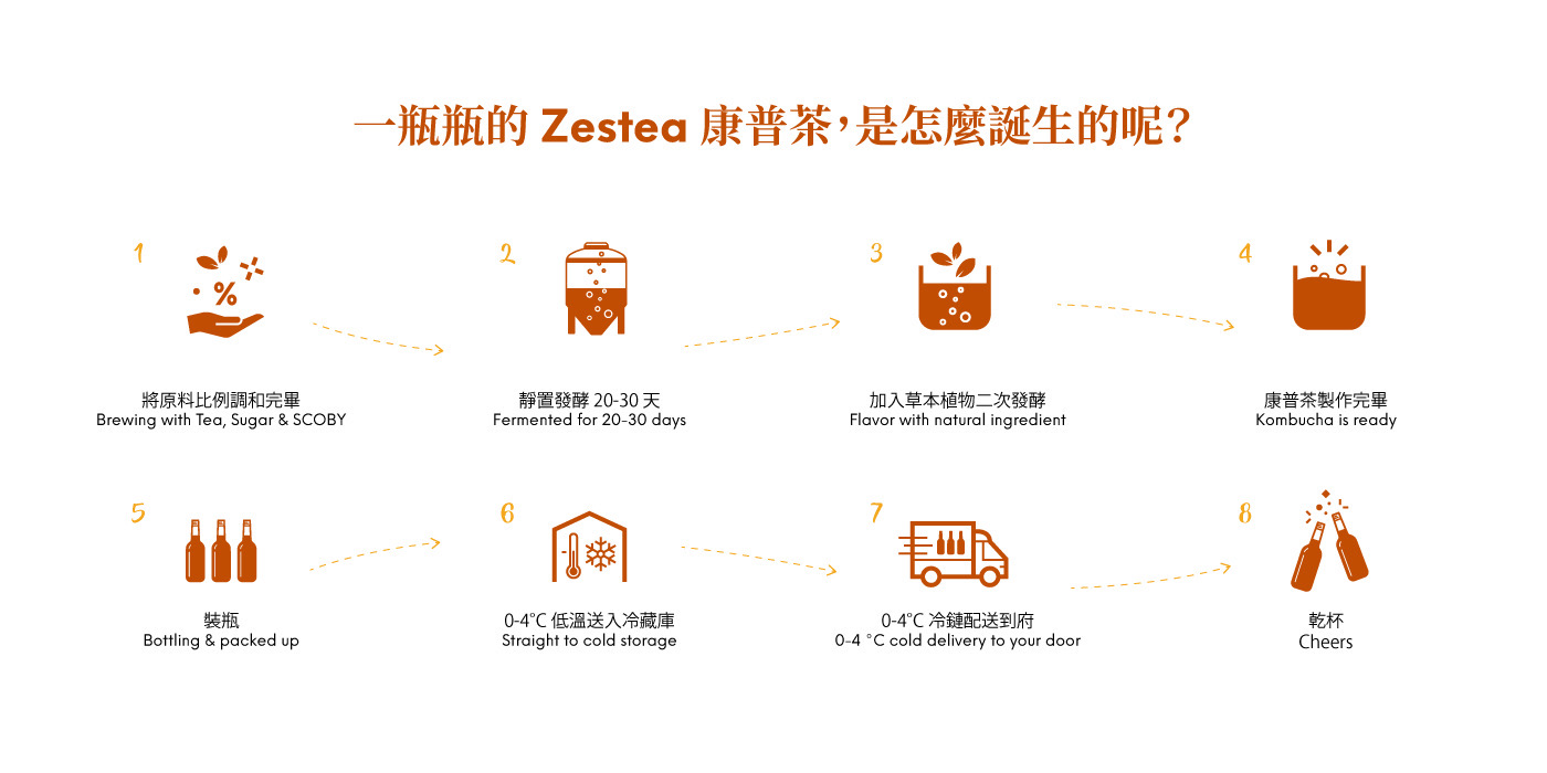 zestea康普茶製作過程