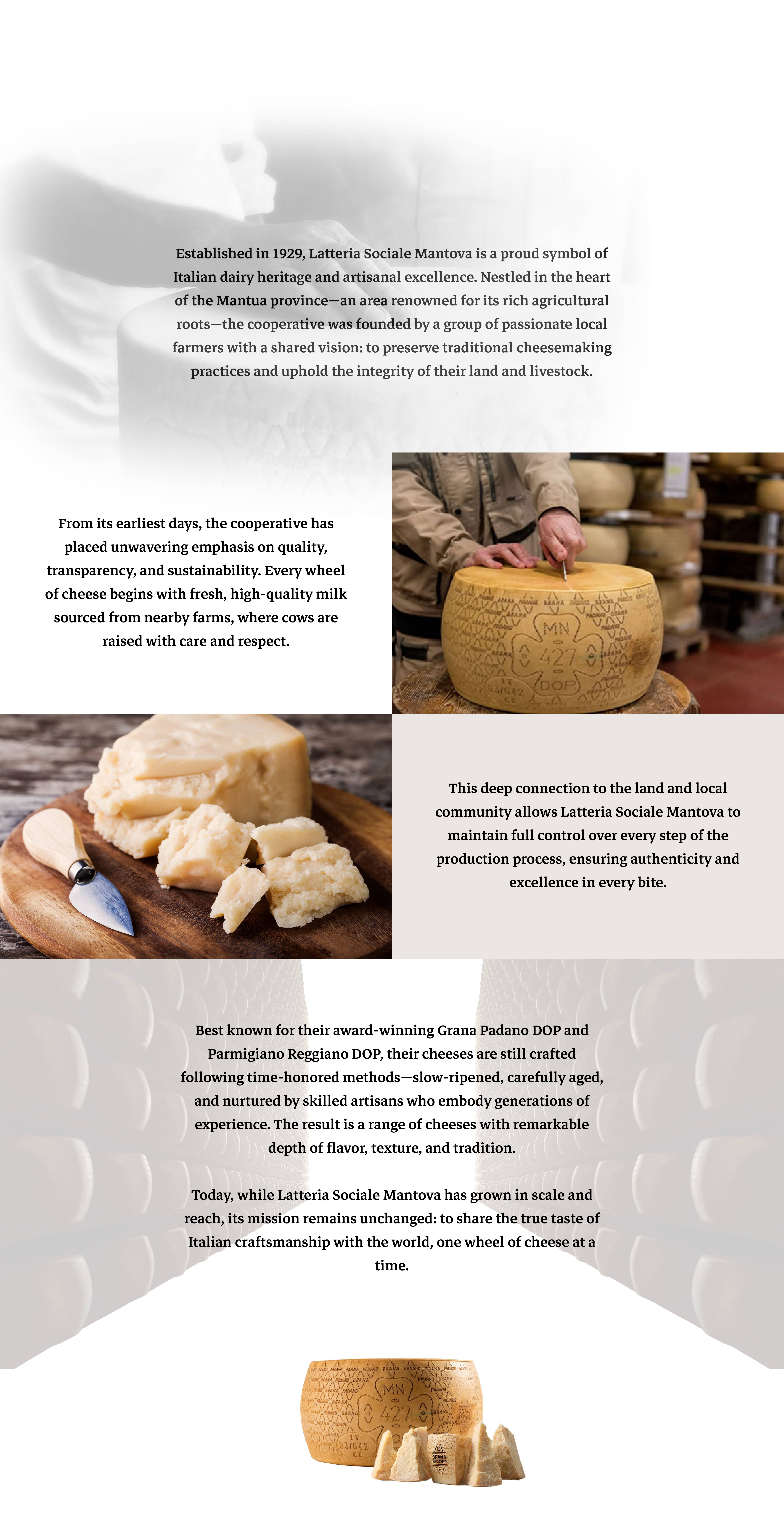 Latteria Story v2-01