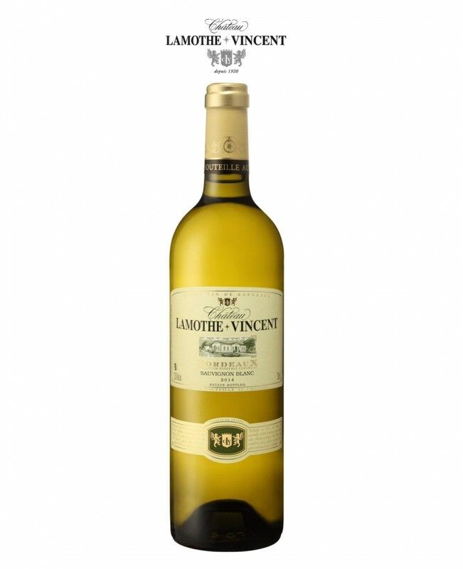 CHATEAU LAMOTHE-VINCENT AOC BORDEAUX BLANC.jpg