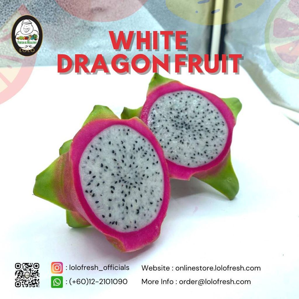 Lolo White Dragon Fruit 1pcs