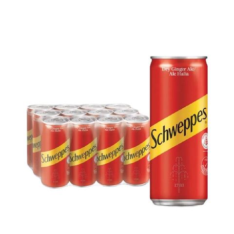 Schweppes Ginger Ale 320ML (12 Cans)