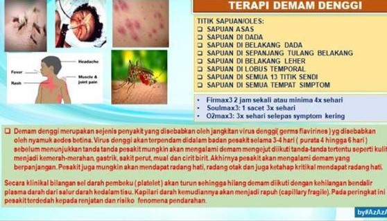 TERAPI DEMAM DENGGI.jpeg TERAPI DEMAM DENGGI.jpeg