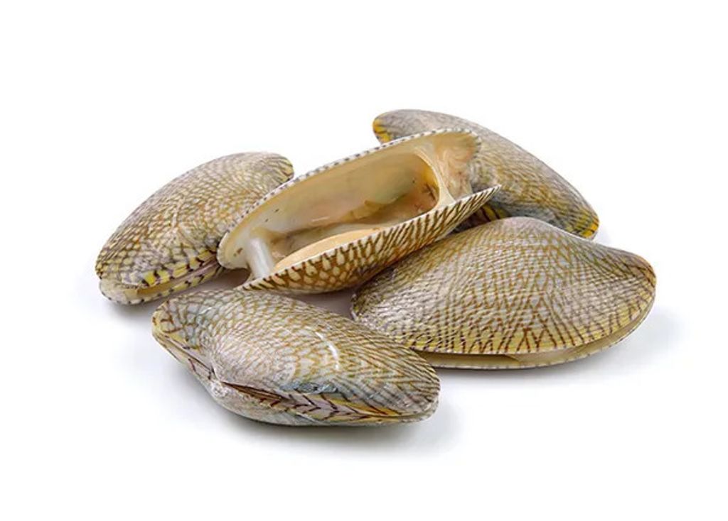 Lala Whole Cooked L Size (No Sand No Ice）1