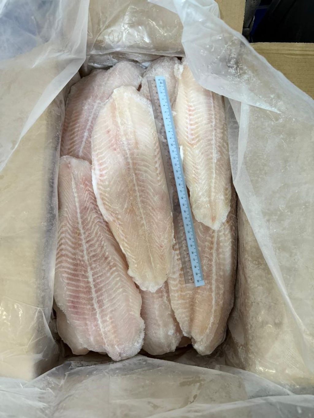 Dory Pangasius Fillet 10KG (No Glazing) 2