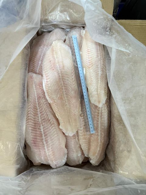 Dory Pangasius Fillet 10KG (No Glazing) 2