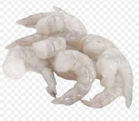vannamei prawn