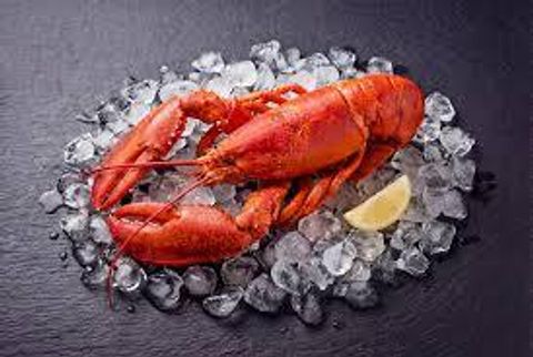 Frozen Cooked Boston Lobster 450-550 1