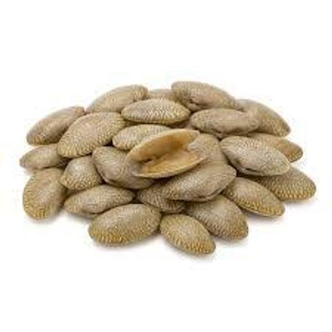 Lala Whole Cooked XL Size (No Sand No Ice） 1