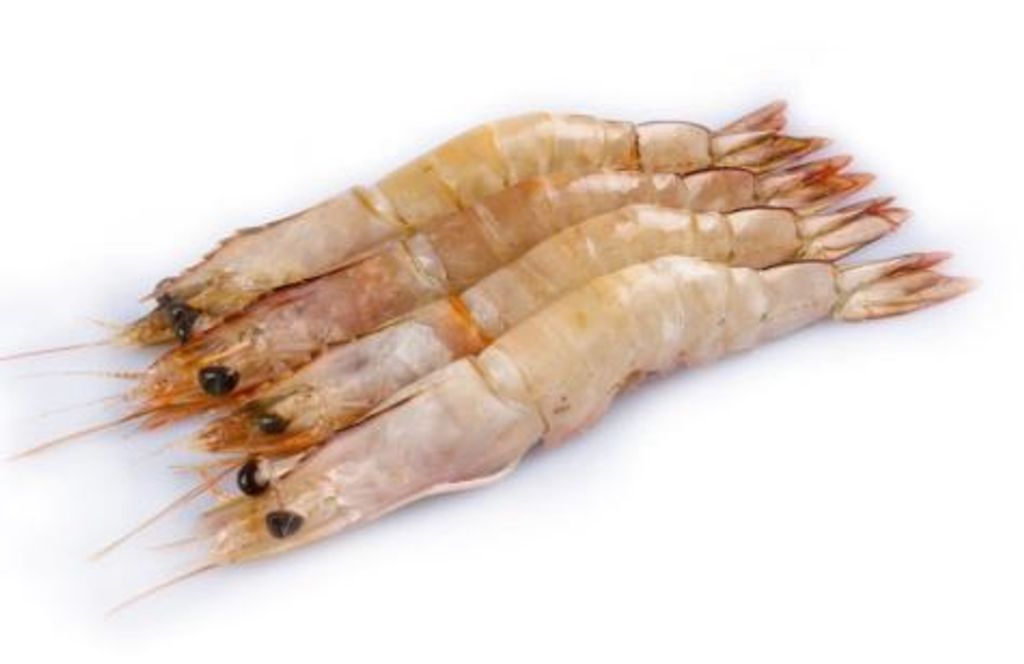 Seaprawn H.On 26-30 2