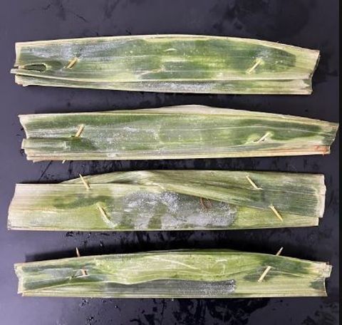 Otak otak daun 1