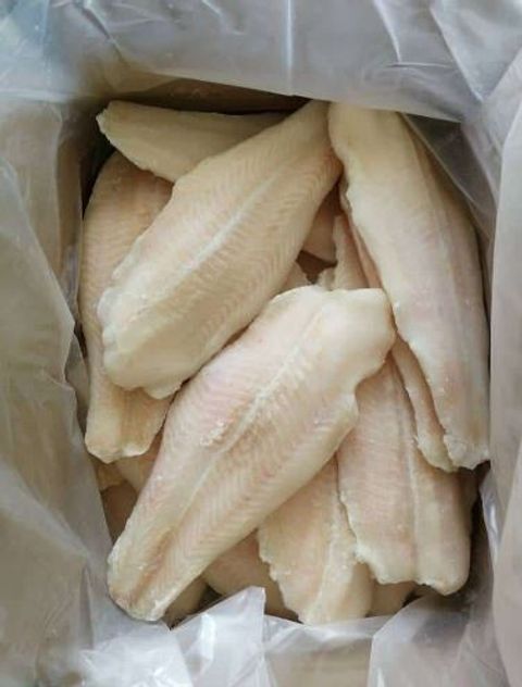 Dory  Pangasius Fillet 6KG 3