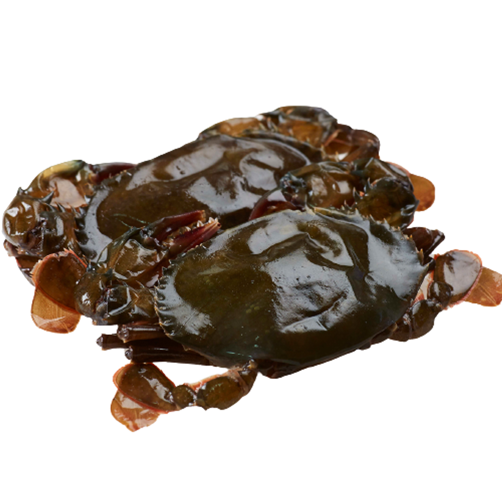 Soft_Shell_Crab-removebg-preview.png
