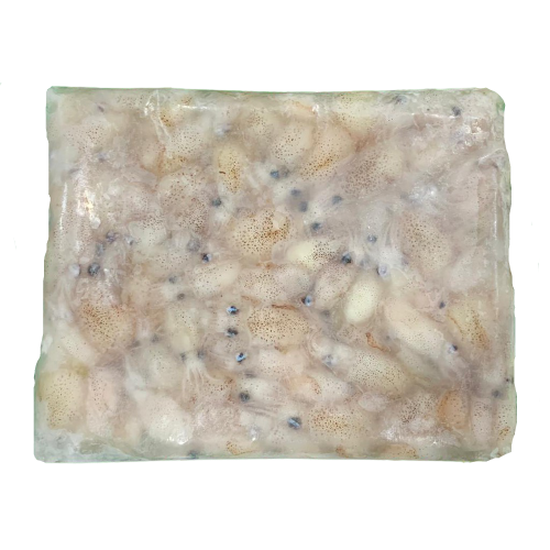 Squid_Baby-removebg-preview-removebg-preview (1).png