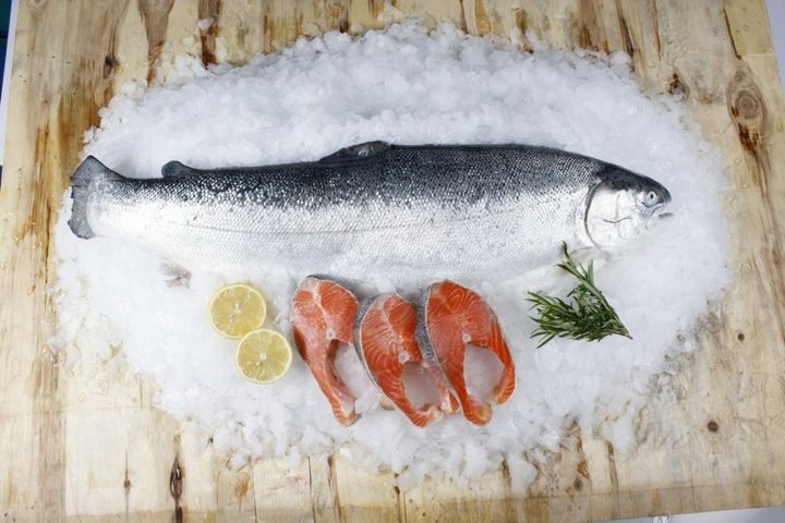 Fresh Salmon Whole Norway 3.jpg