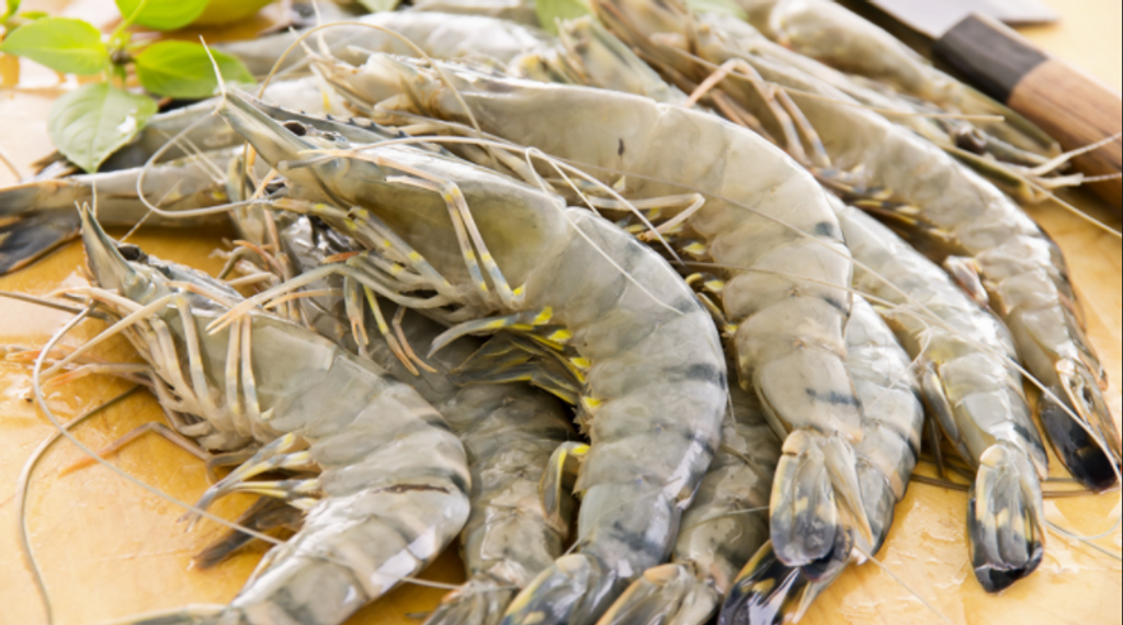 Tiger Prawn Head On 26-30 3.PNG