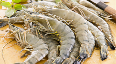 Tiger Prawn Head On 26-30 3.PNG