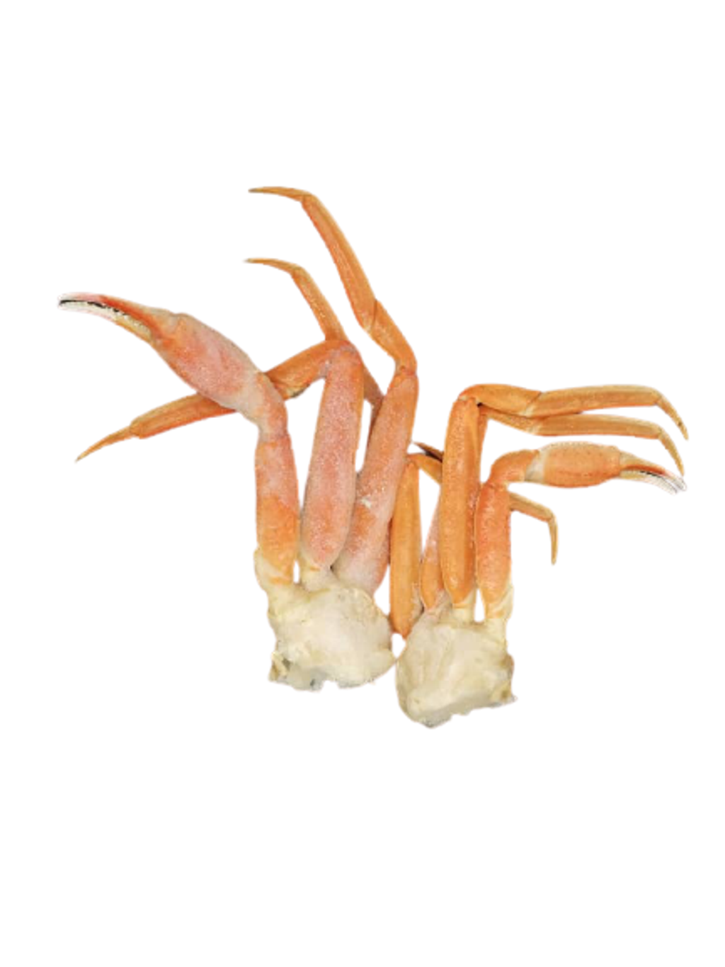 Cooked Snow Crab Leg 1.png