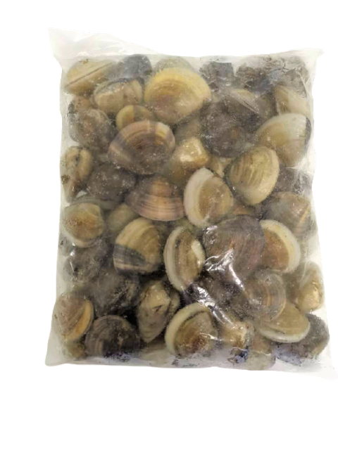 Hamaguri Clam Whole 1.png