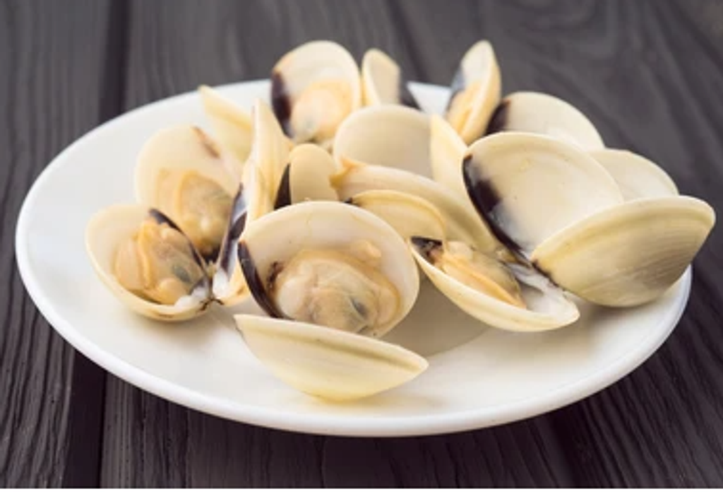 White Clam 3.PNG