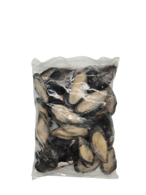 Blue Mussel 12 Shell_ 2.png