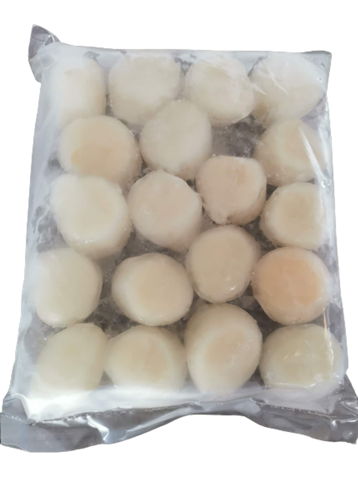 Scallop Meat Japan 10-20 1.png