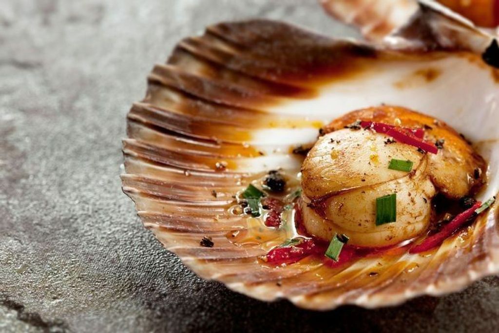 Scallop Half Shell 7-8CM 2.jpg