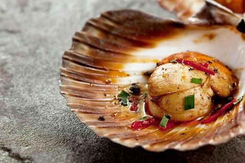 Scallop Half Shell 7-8CM 2.jpg