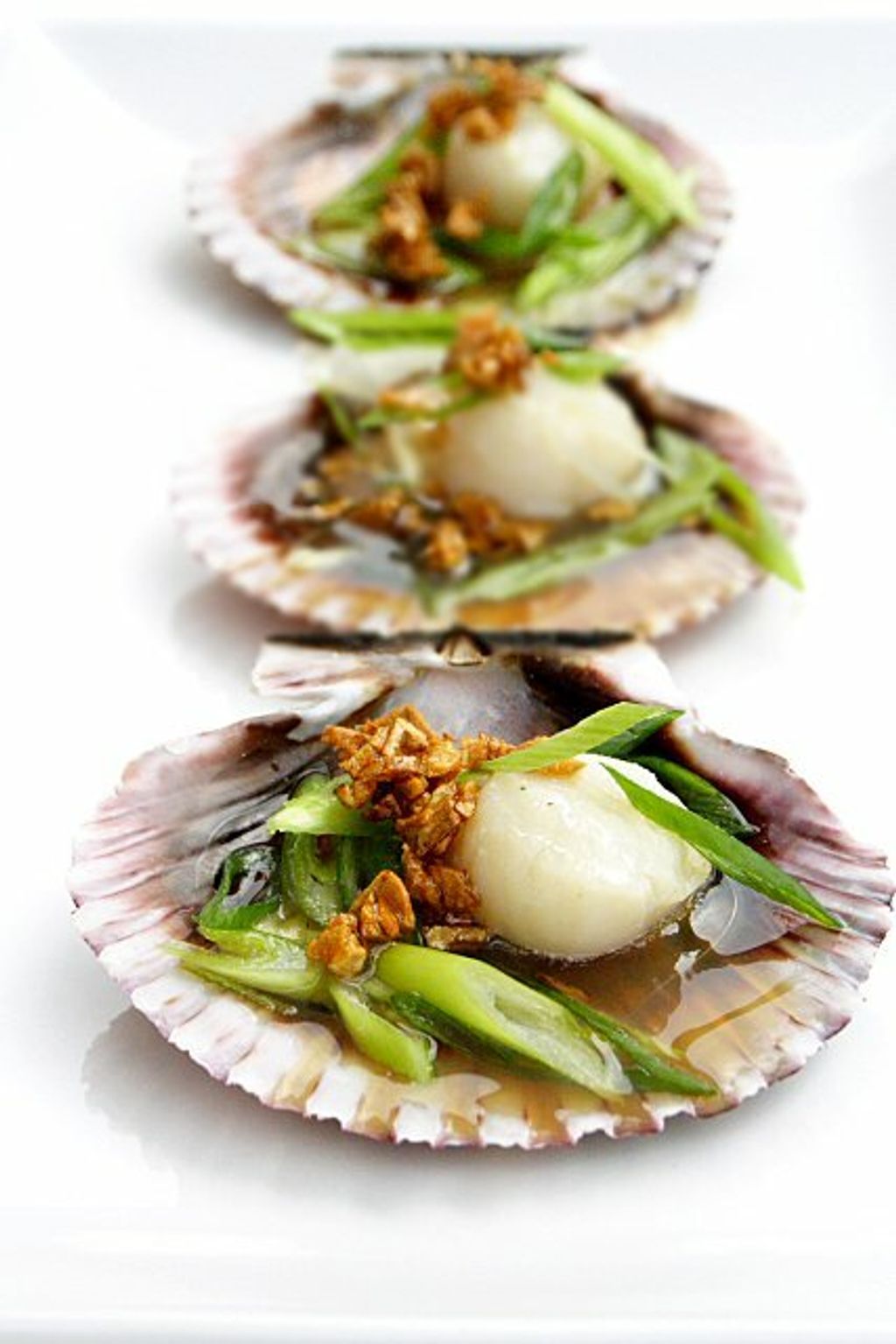 Small scallops in king scallop sauce - Rosa Lafuente Shop