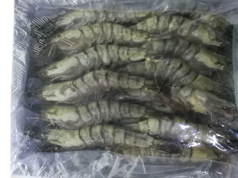 Tiger Prawn with Head On 21-25 1.png