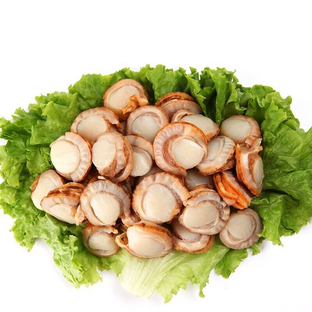 Boiled Scallop Meat 3