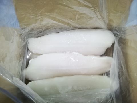 Dory (Pangasius) Fillet 6KG 1