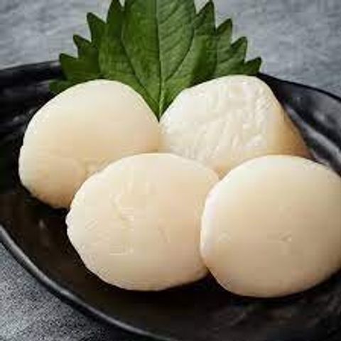 Scallop Meat Japan 21-25 2