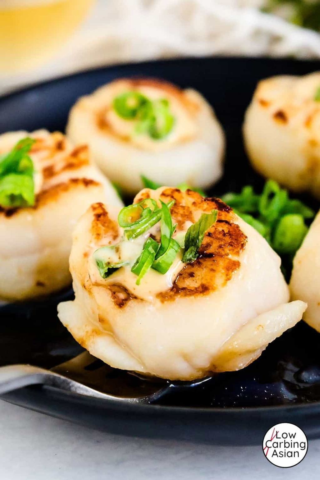 Scallop Meat Japan 21-25 3