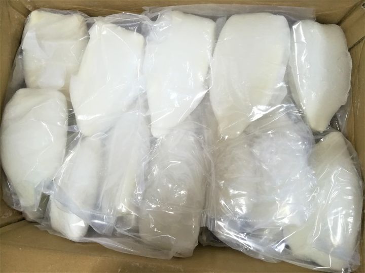 Squid Tube 1KG 1