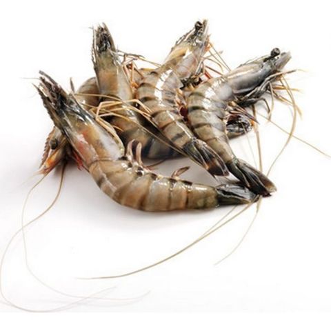 Tiger Prawn Head On 16-20 1