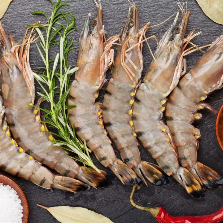 Tiger Prawn Head On 16-20 2