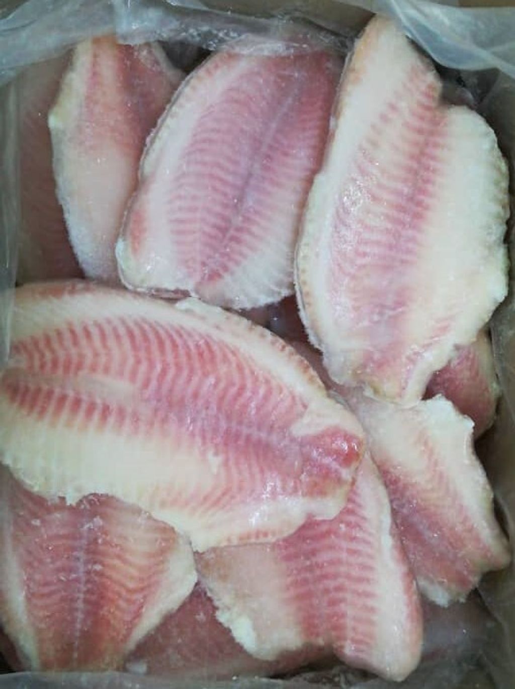 Tilapia Fillet (55% Glazing) 1