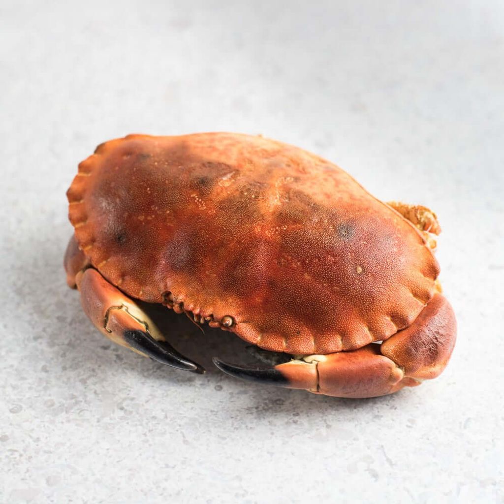 Frozen Cooked French Brown Crab