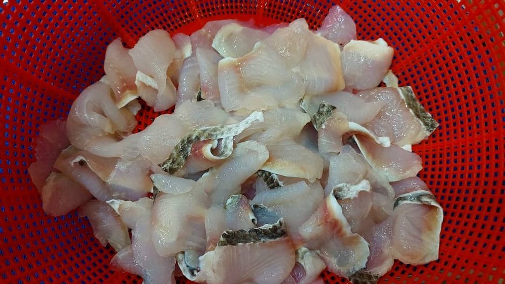 Snakehead  Toman Fillet Sliced 500GM 3
