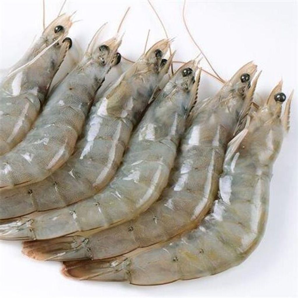 Vannamei Prawn Head On 41-50 700GM 2
