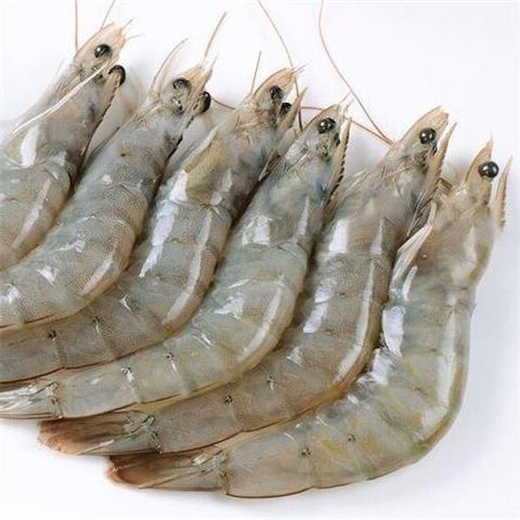 Vannamei Prawn Head On 41-50 700GM 2
