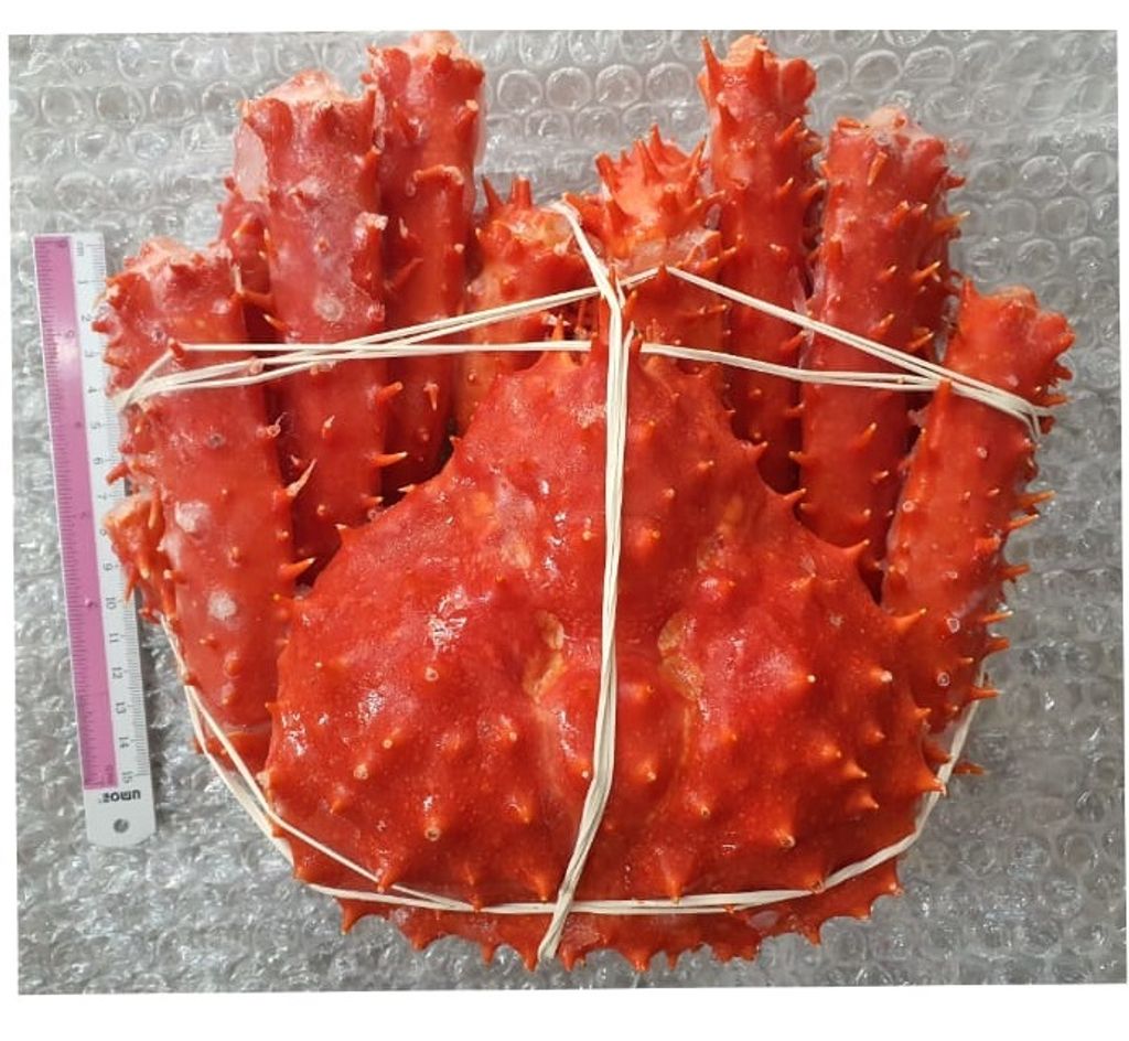 Frozen King Crab Whole 1.4-1.6 1