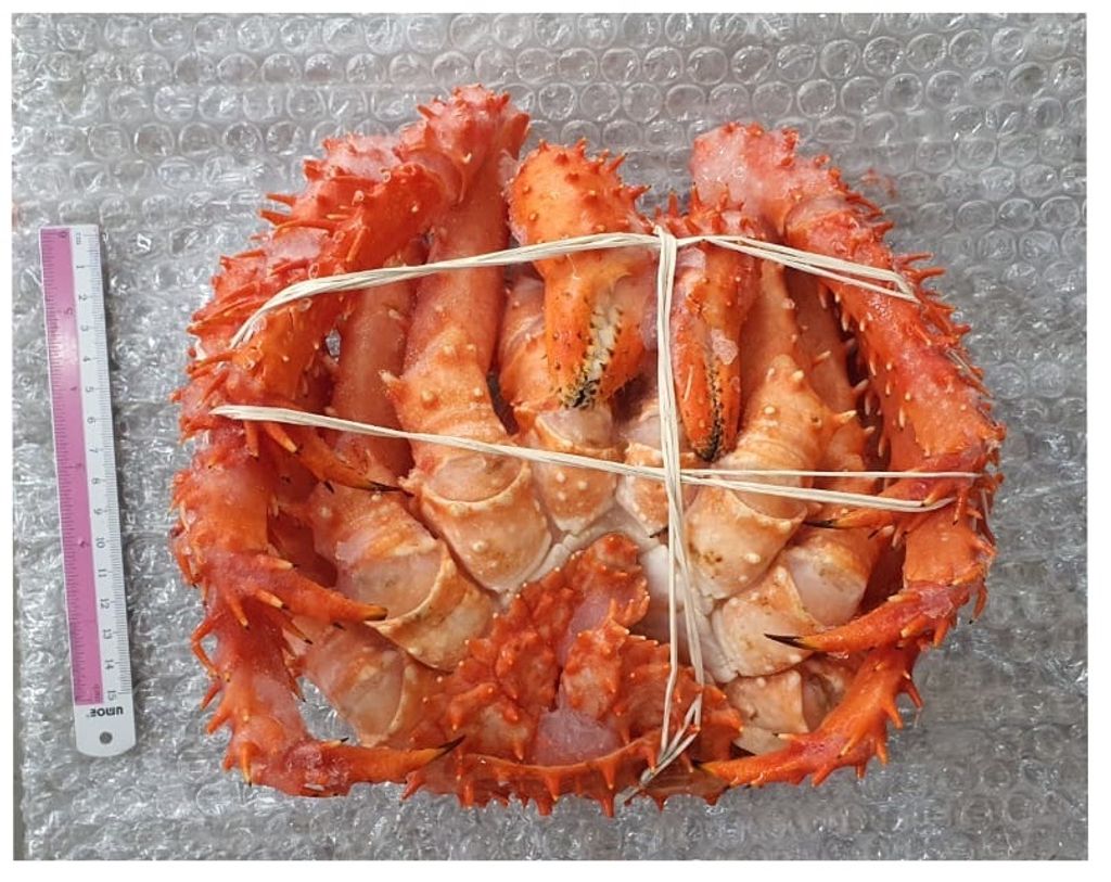 Frozen King Crab Whole 1.4-1.6 2