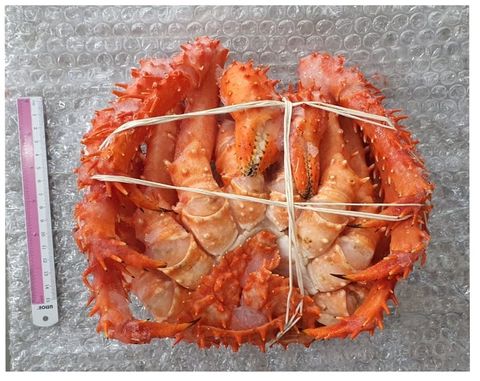 Frozen King Crab Whole 1.4-1.6 2