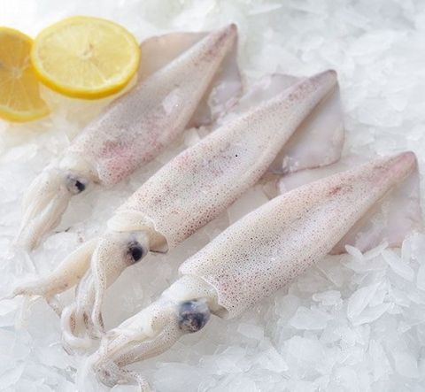 Squid Whole 3-6 1