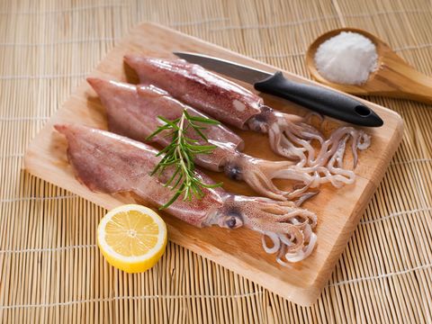 Squid Whole 10-20 1