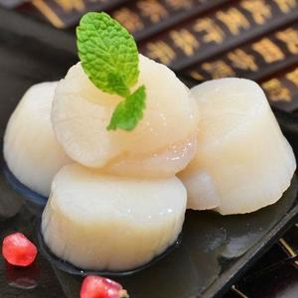 Scallop Meat Canada Big Size 11-15 4